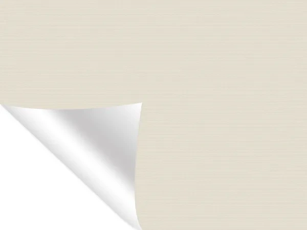 Madagaskar 052 - champagne - (thermo)