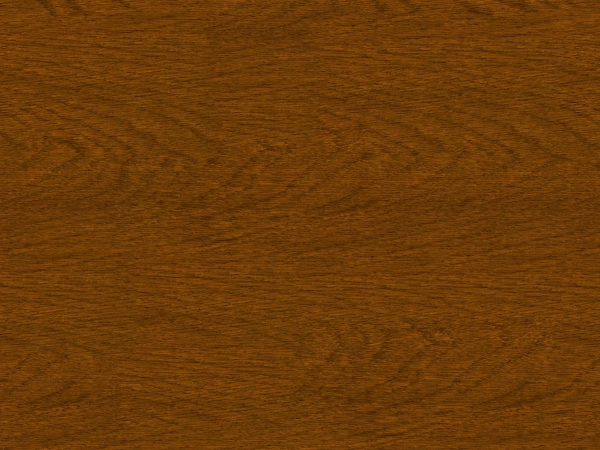 Siete proti hmyzu na DVERE - PLISÉ LITE - DUB ZLATÝ - drevoimitácia