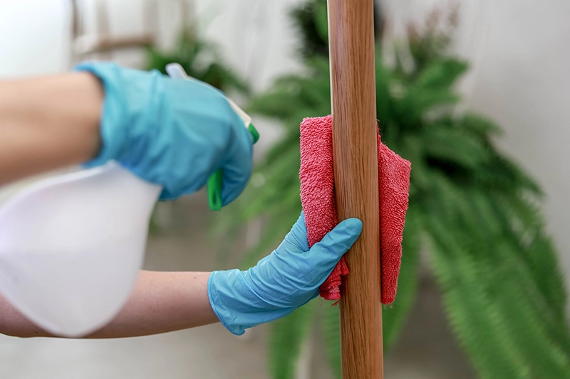 Fa karnis tisztítása kendővel és spray-vel otthoni karbantartás során